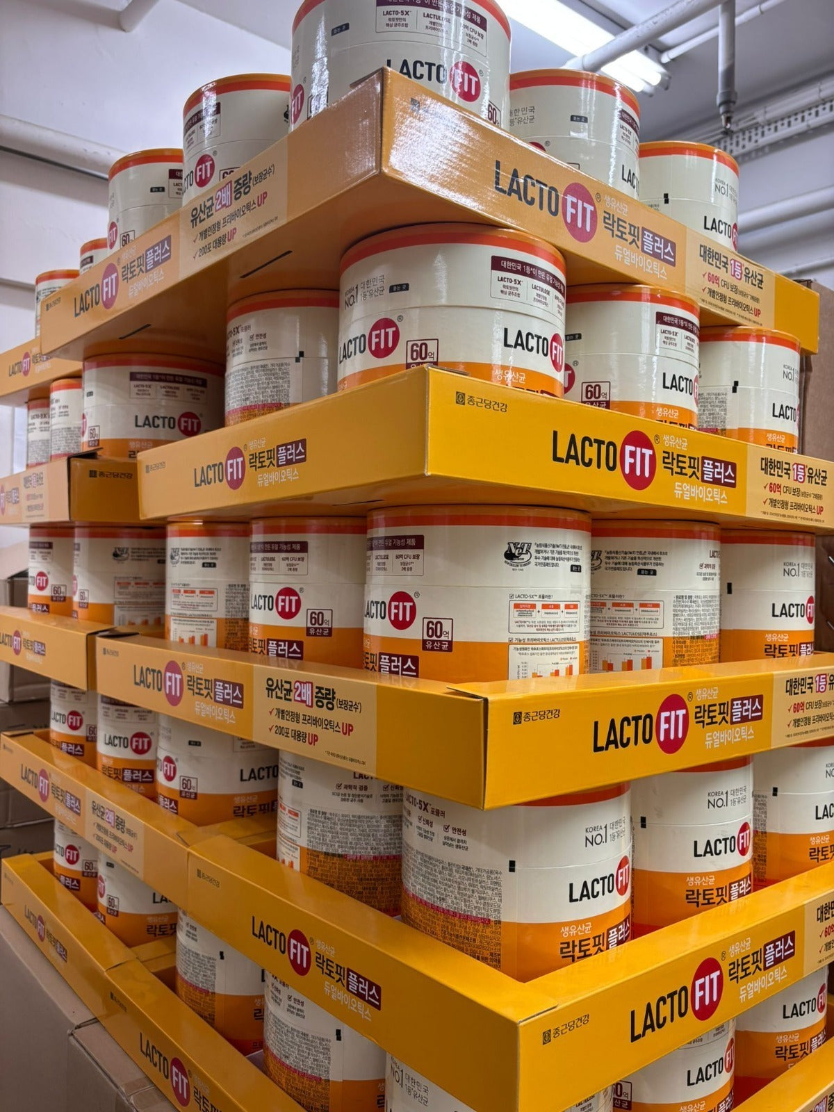 增量增強版 🇰🇷 韓國 LACTO-FIT 加強版益生菌 200條裝